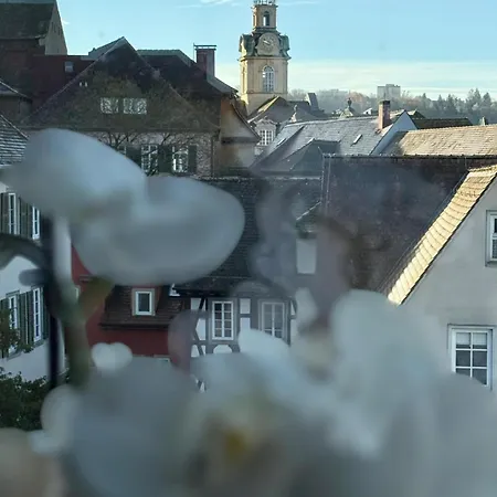 Gemuetliches Altstadt-nest Am Saeumarkt شقة Schwäbisch Hall